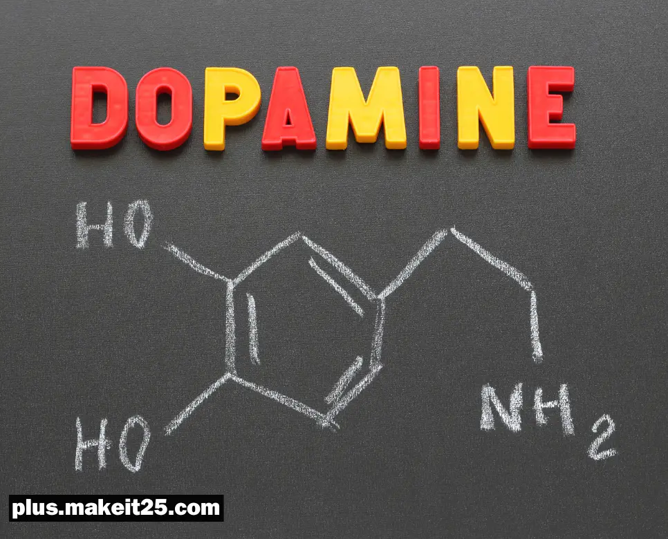 도파민 뜻, 세로토닌 뜻, 엔돌핀 뜻, 아드레날린 뜻: 알기 쉽게 정리!