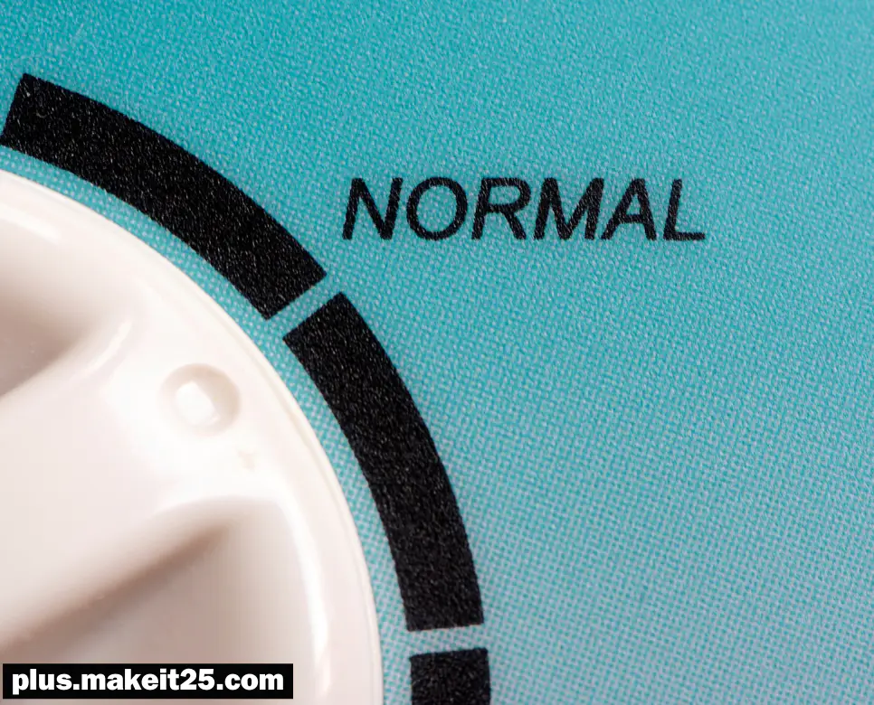 노멀