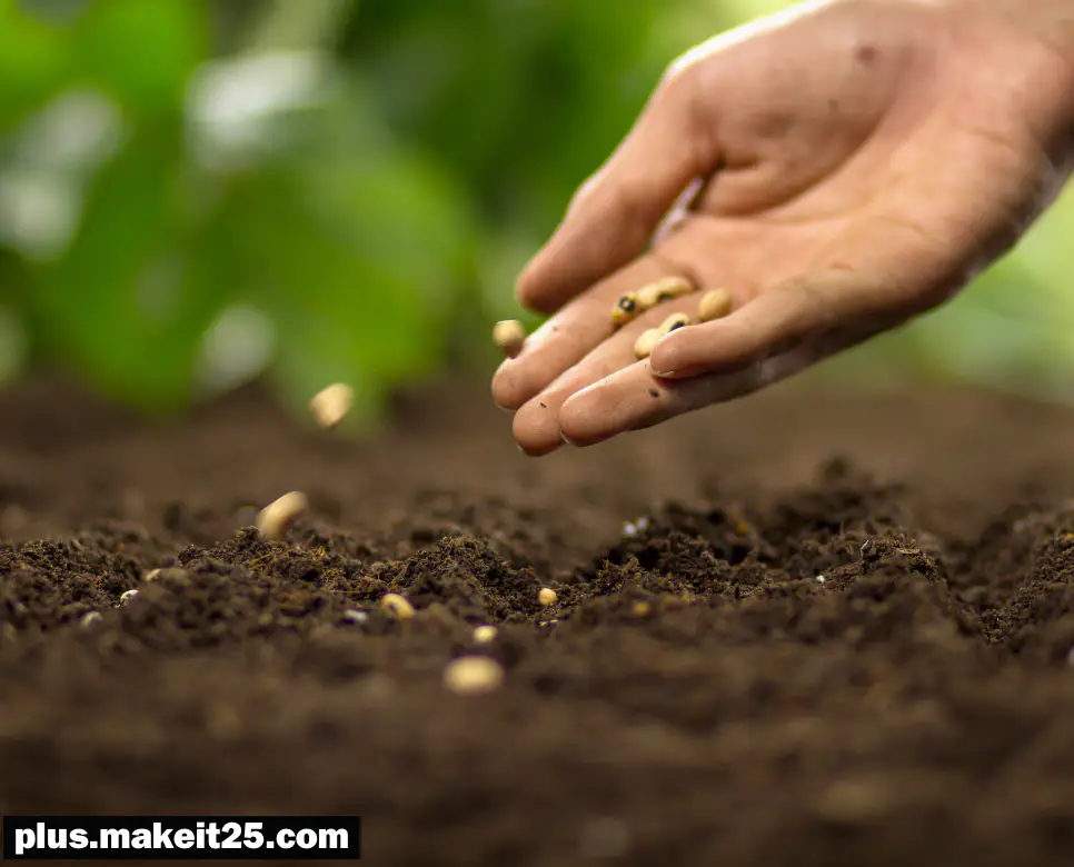 인과 뜻, 인연 뜻, 필연 뜻: 완전 정복!