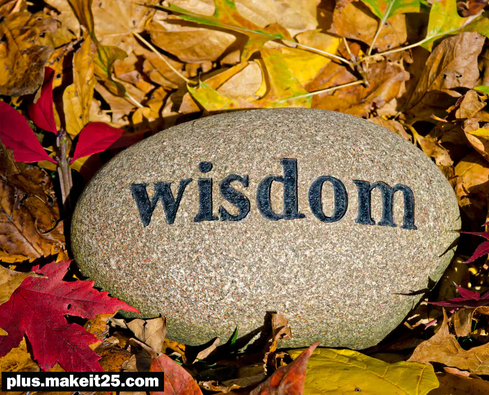 지혜 뜻, 명철 뜻, 슬기 뜻: 궁금하면 클릭!