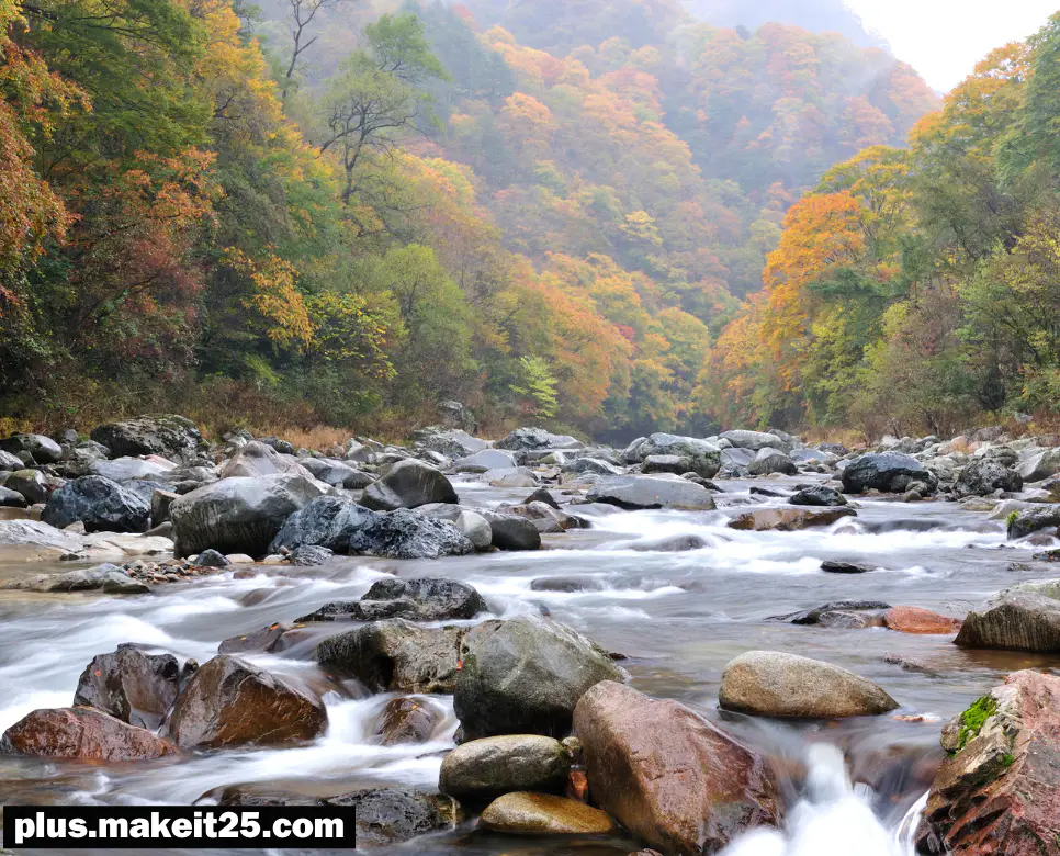 애지중지 뜻 | 어부지리 뜻 | 어불성설 뜻