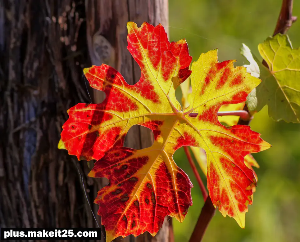 발본색원 뜻 | 배수진 뜻 | 허허실실 뜻