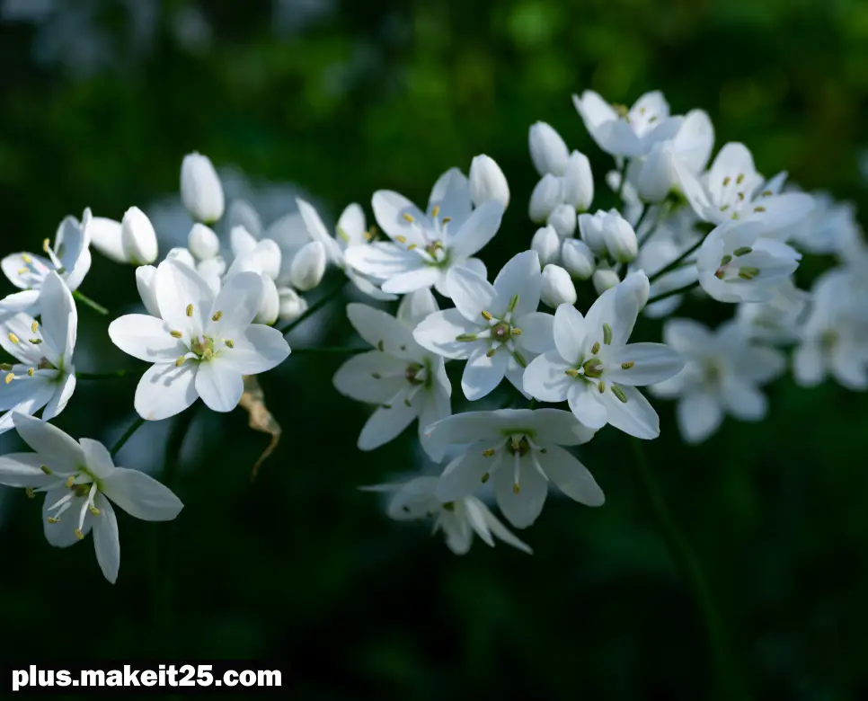 부부유별 뜻 | 불로장생 뜻 | 호접몽 뜻