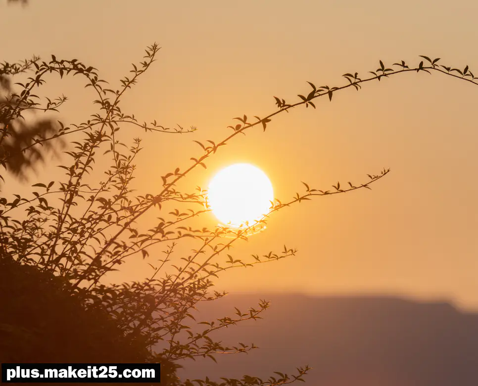 불가항력 뜻 | 아연실색 뜻 | 안분지족 뜻