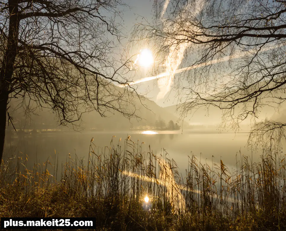 백아절현 뜻 | 변화무쌍 뜻 | 부창부수 뜻