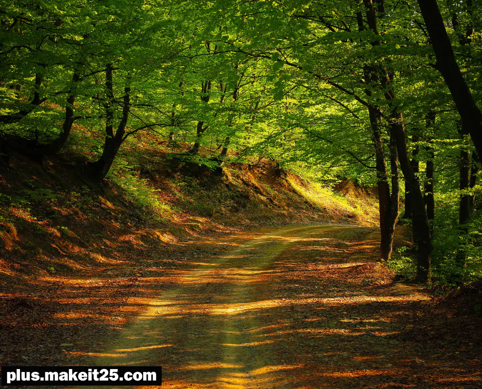 백해무익 뜻 | 남존여비 뜻 | 도원결의 뜻