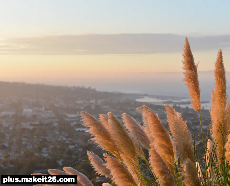 백절불굴 뜻 | 거자필반 뜻 | 낙락장송 뜻