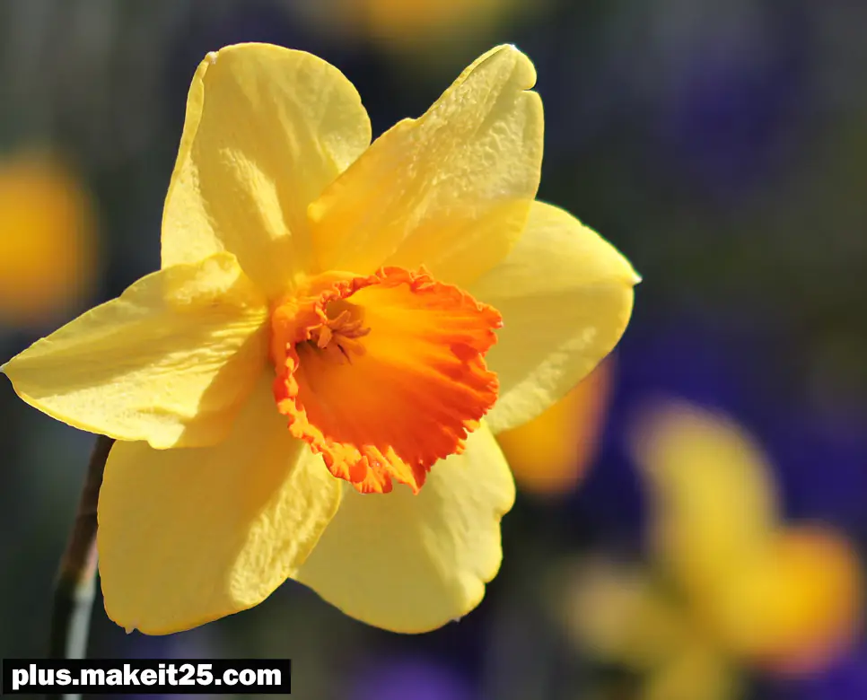 백중지세 뜻 | 수불석권 뜻 | 식자우환 뜻