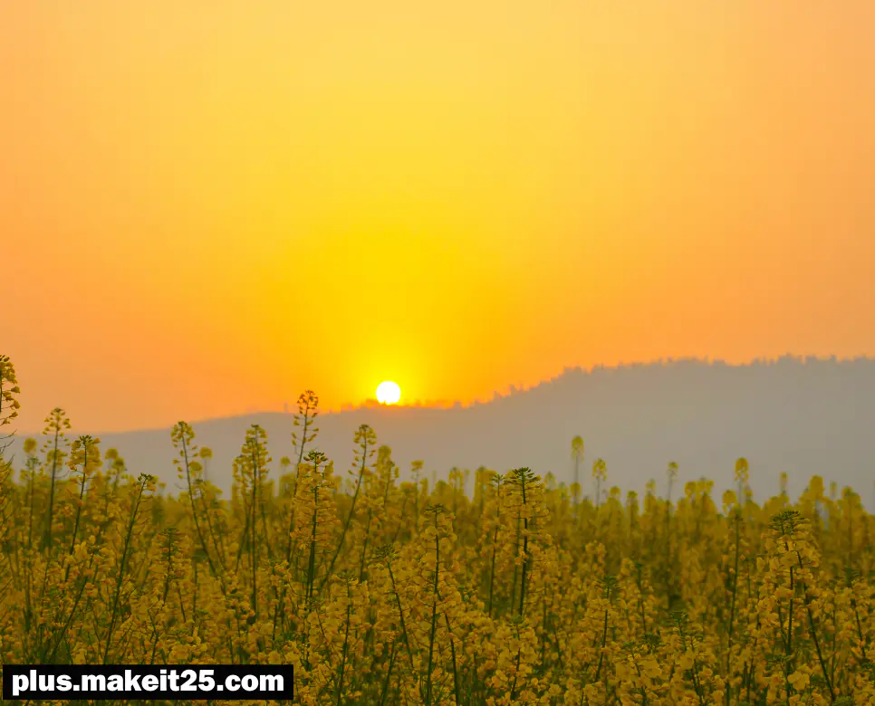 청출어람 뜻 | 초지일관 뜻 | 촌철살인 뜻