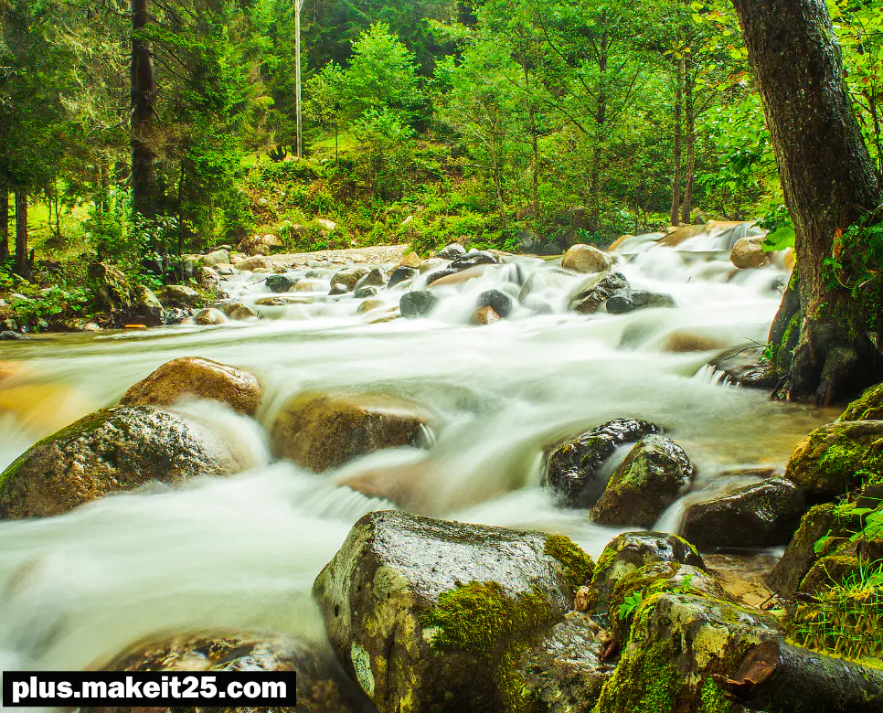 철두철미 뜻 | 지란지교 뜻 | 영웅호걸 뜻