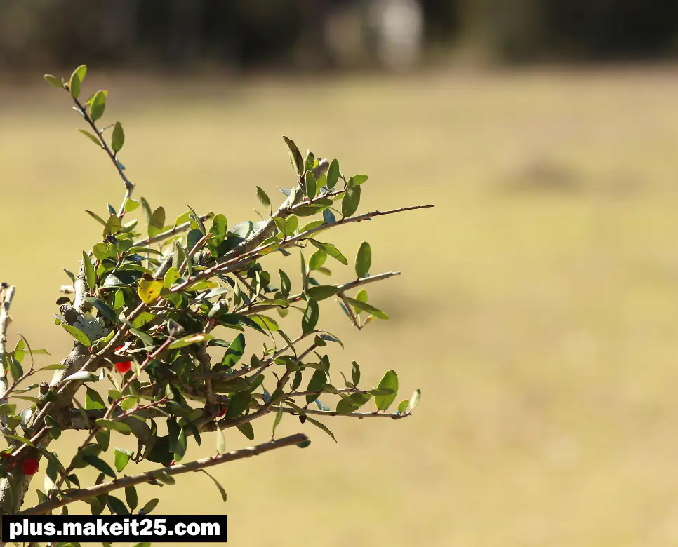 측은지심 뜻 | 허무맹랑 뜻 | 비루하다 뜻 | 남루하다 뜻