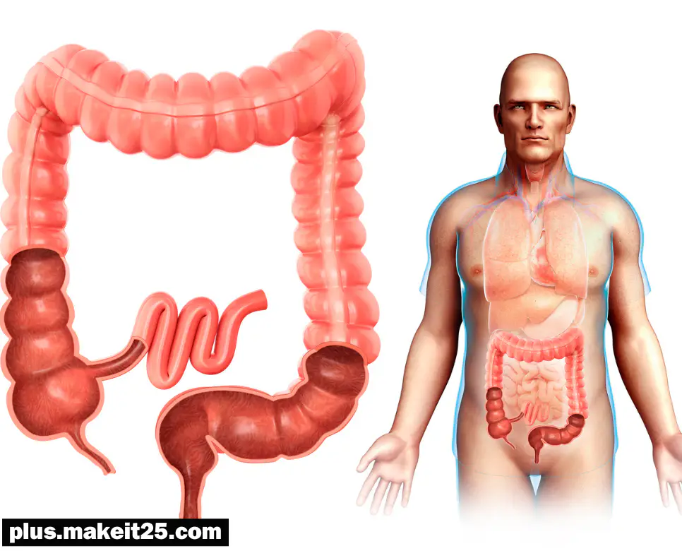 맹장염 초기증상