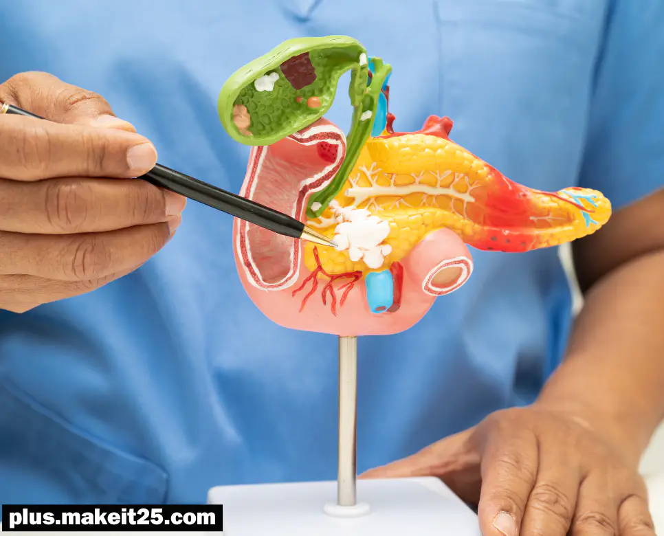 췌장암 초기증상