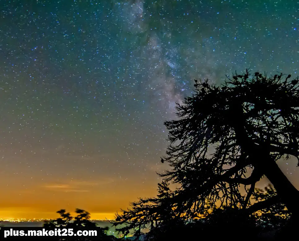 동상이몽 뜻 | 동족상잔 뜻 | 막역지우 뜻