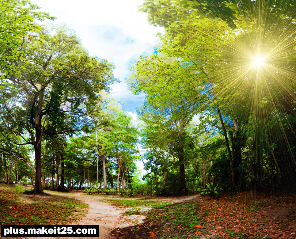 등용문 뜻 | 마부위침 뜻 | 목불인견 뜻