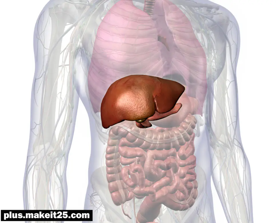 담낭암 초기증상, 간암 초기증상, 자궁경부암 초기증상: 정리해드립니다!