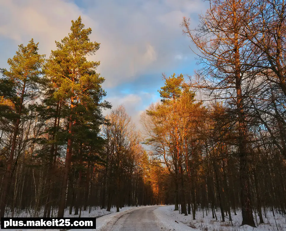 극악무도 뜻 | 백골난망 뜻 | 사자후 뜻