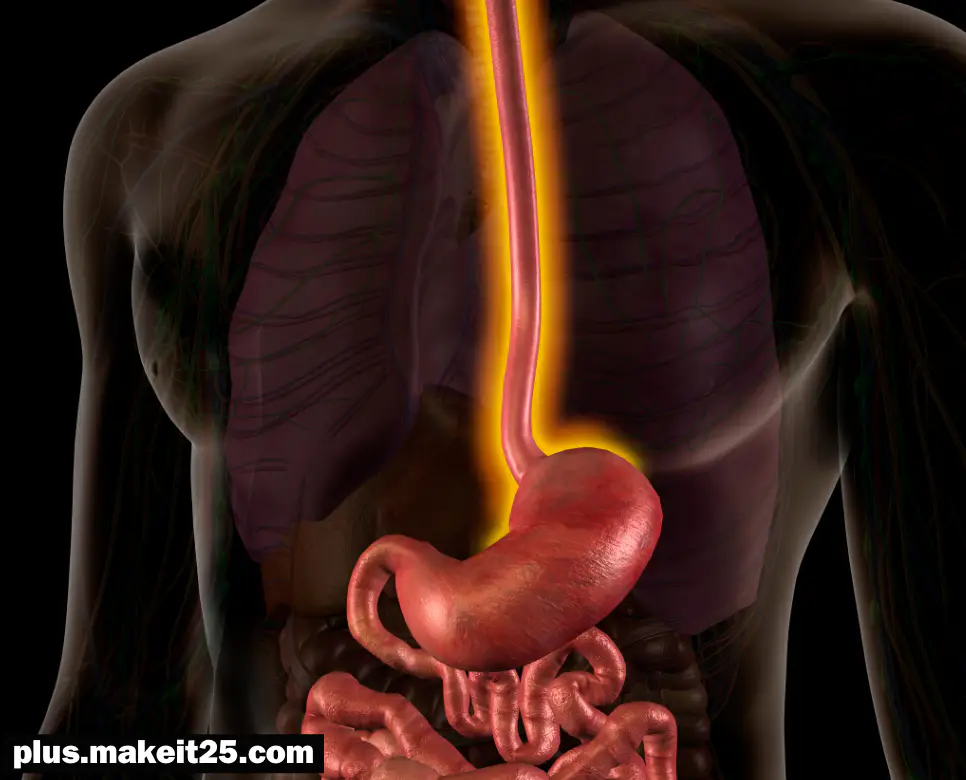 식도염 초기증상
