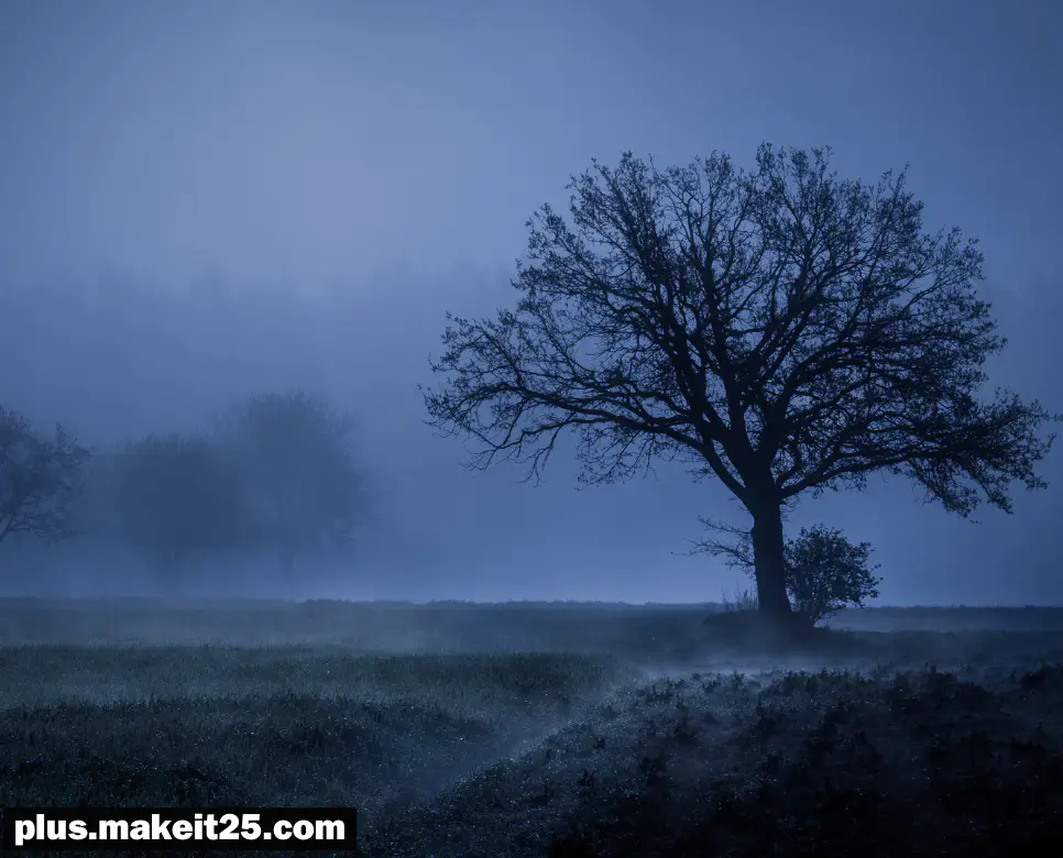 과대망상 뜻 | 구밀복검 뜻 | 궁여지책 뜻