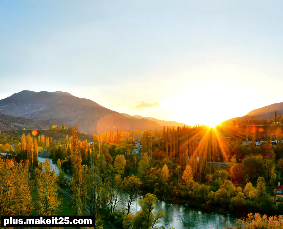 결자해지 뜻 | 고립무원 뜻 | 곡학아세 뜻