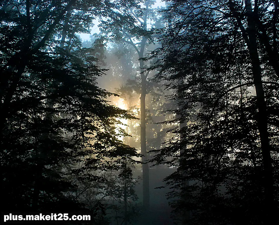 견리사의 뜻 | 거두절미 뜻 | 삼고초려 뜻