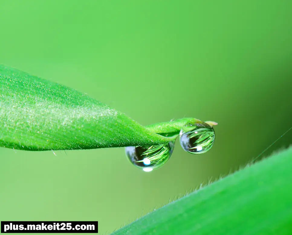 격물치지 뜻 | 혹세무민 뜻 | 고식지계 뜻