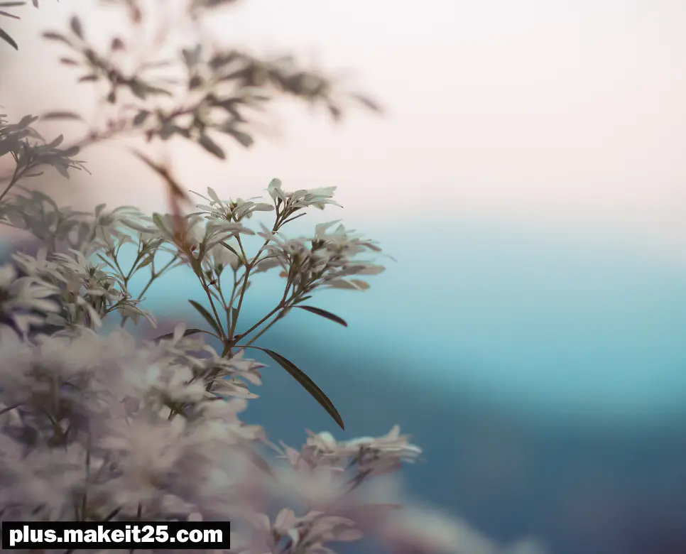 권모술수 뜻 | 가렴주구 뜻 | 갑론을박 뜻