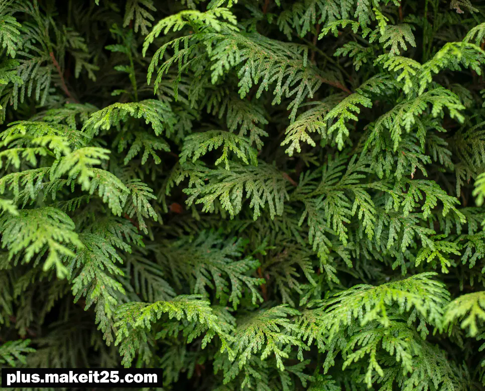 희희낙락 뜻 | 흑백논리 뜻 | 색즉시공 뜻