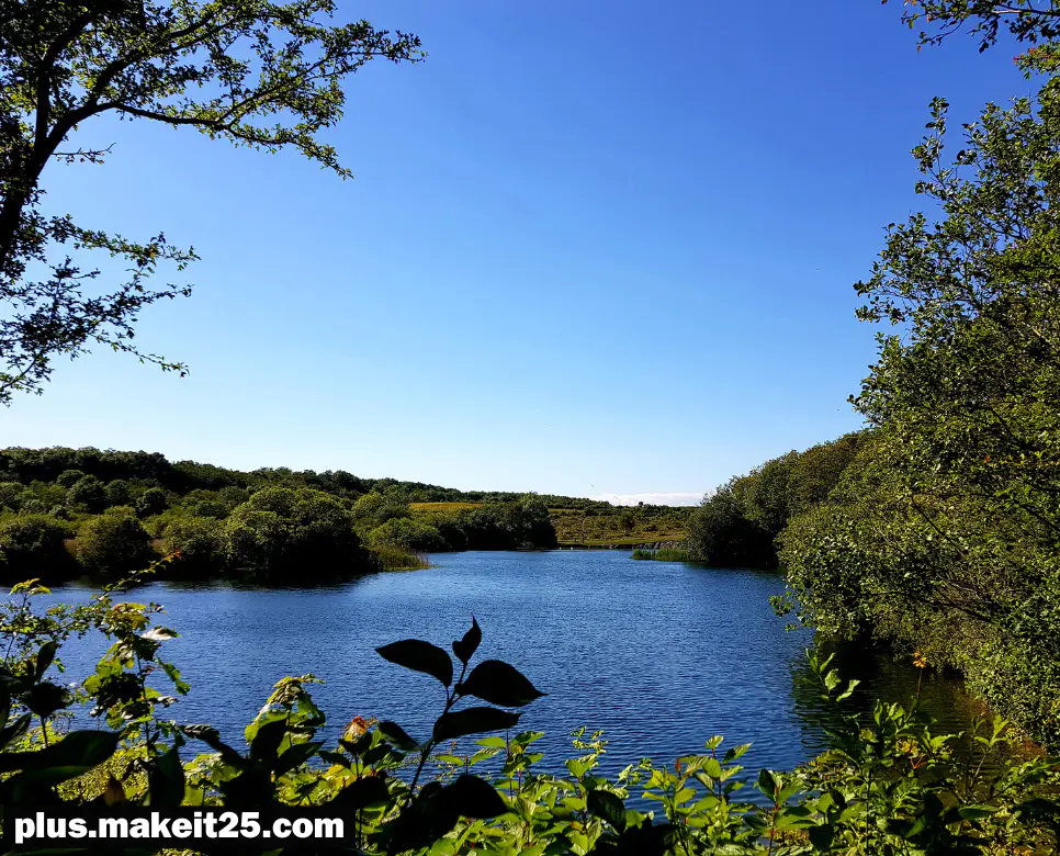 호접지몽 뜻 | 인산인해 뜻 | 파안대소 뜻