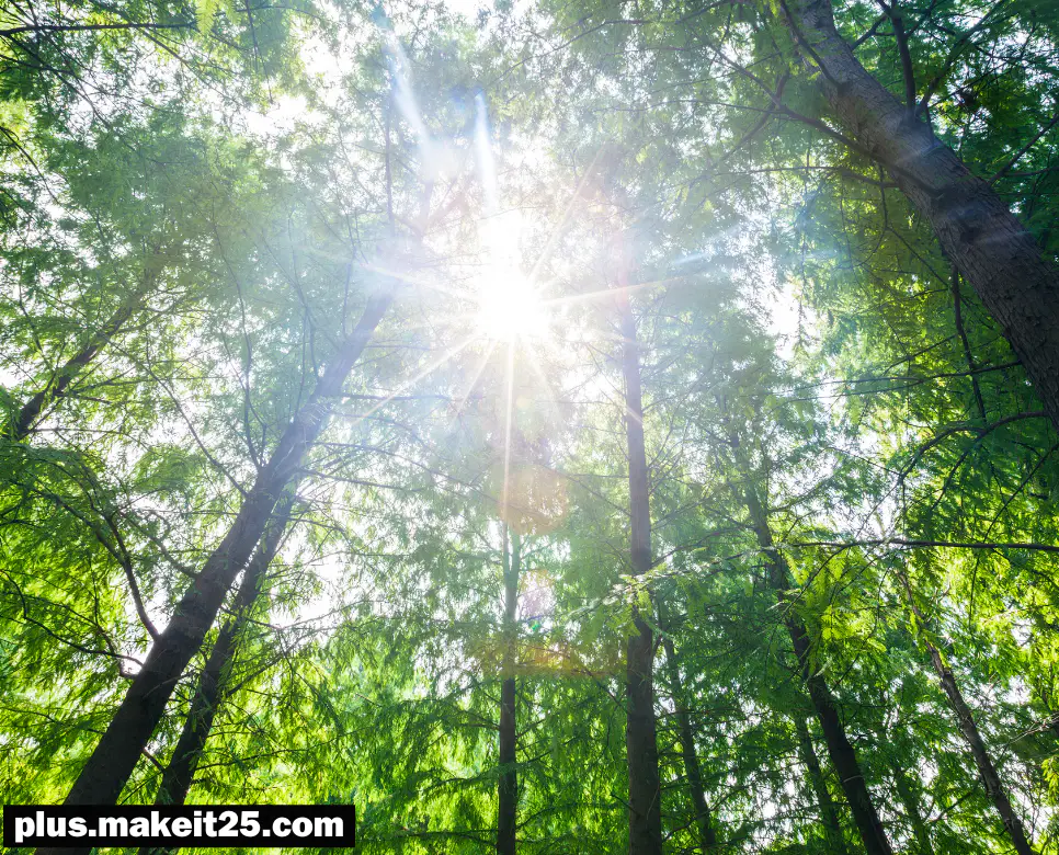 호연지기 뜻 | 홍익인간 뜻 | 화룡점정 뜻