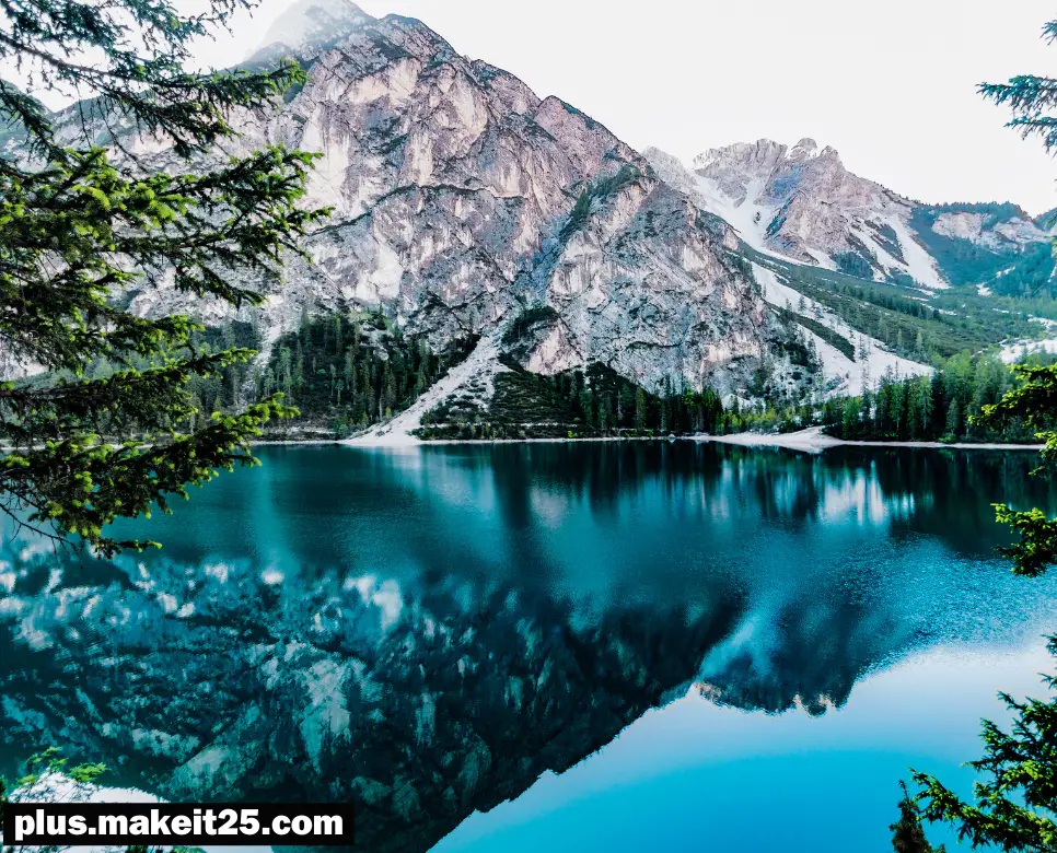 일희일비 뜻 | 주마간산 뜻 | 침소봉대 뜻