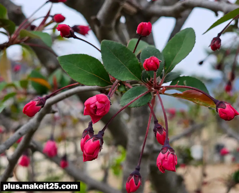 임전무퇴 뜻 | 전전반측 뜻 | 정저지와 뜻