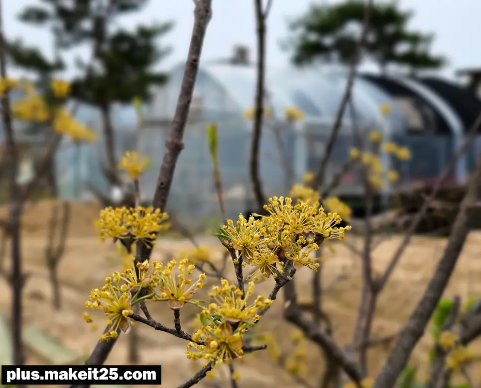 이실직고 뜻 | 일심동체 뜻 | 이율배반 뜻