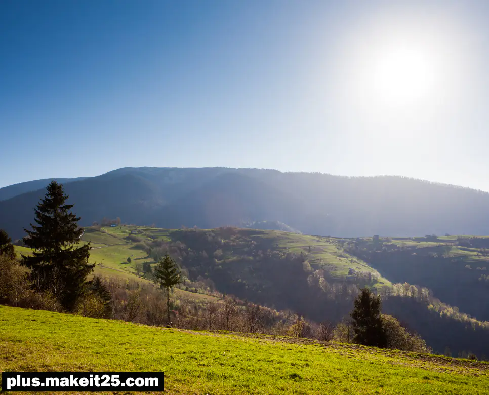 이열치열 뜻 | 혼연일체 뜻 | 만장일치 뜻