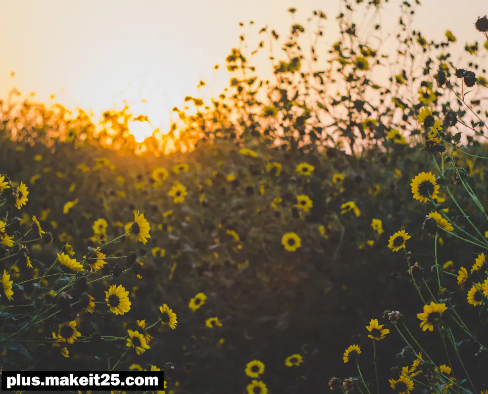 좌불안석 뜻 | 주객전도 뜻 | 전전긍긍 뜻