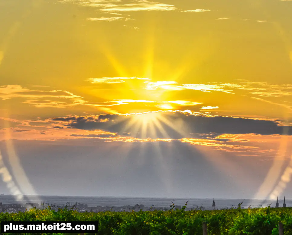 전무후무 뜻 | 전화위복 뜻 | 점입가경 뜻