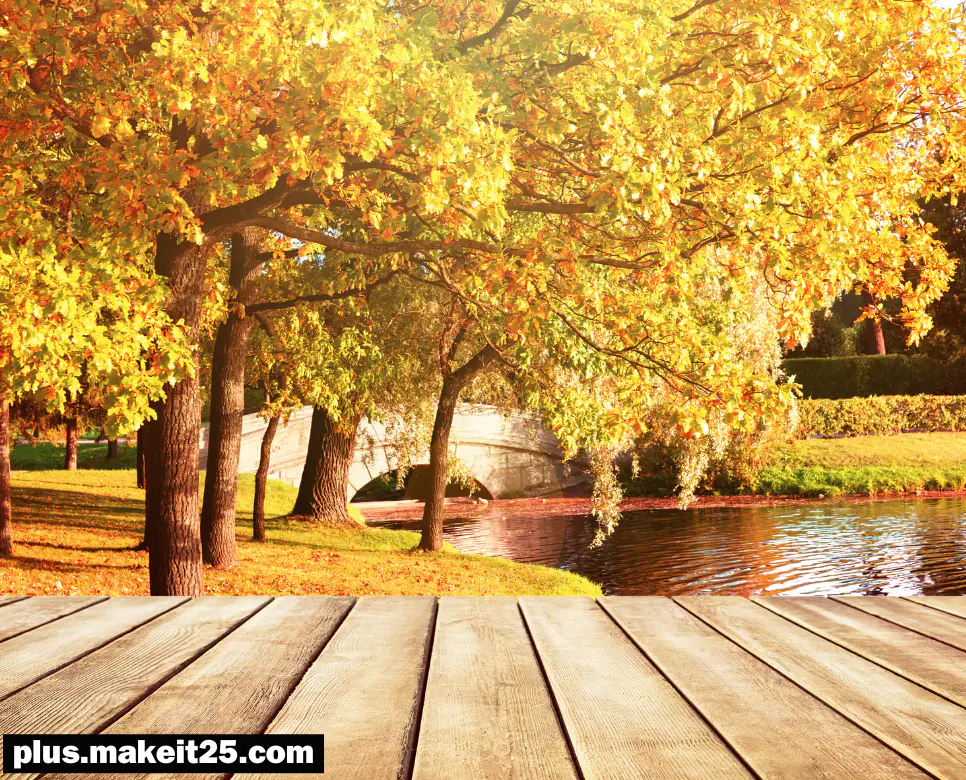 팔방미인 뜻 | 자승자강 뜻 | 천군만마 뜻