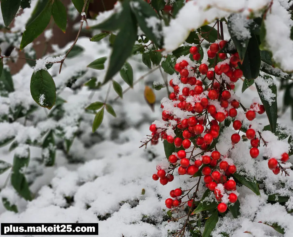 자타공인 뜻 | 박리다매 뜻 | 자포자기 뜻