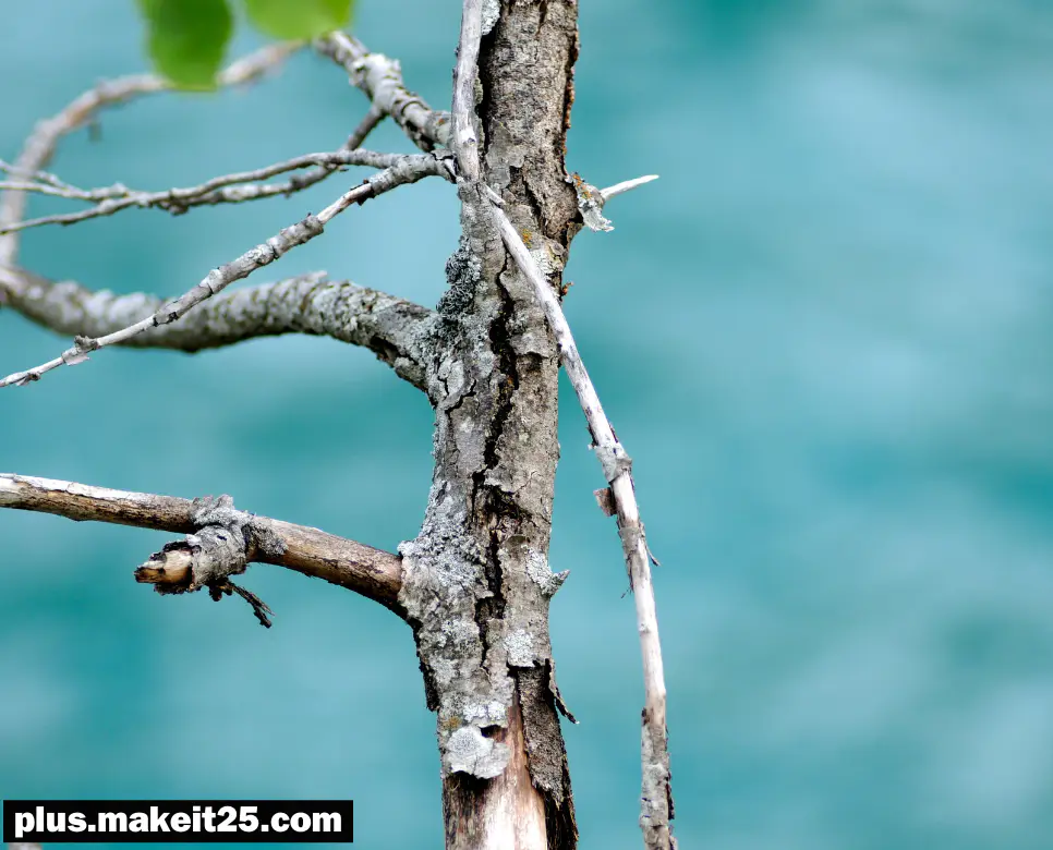 쾌도난마 뜻 | 탁상공론 뜻 | 허심탄회 뜻