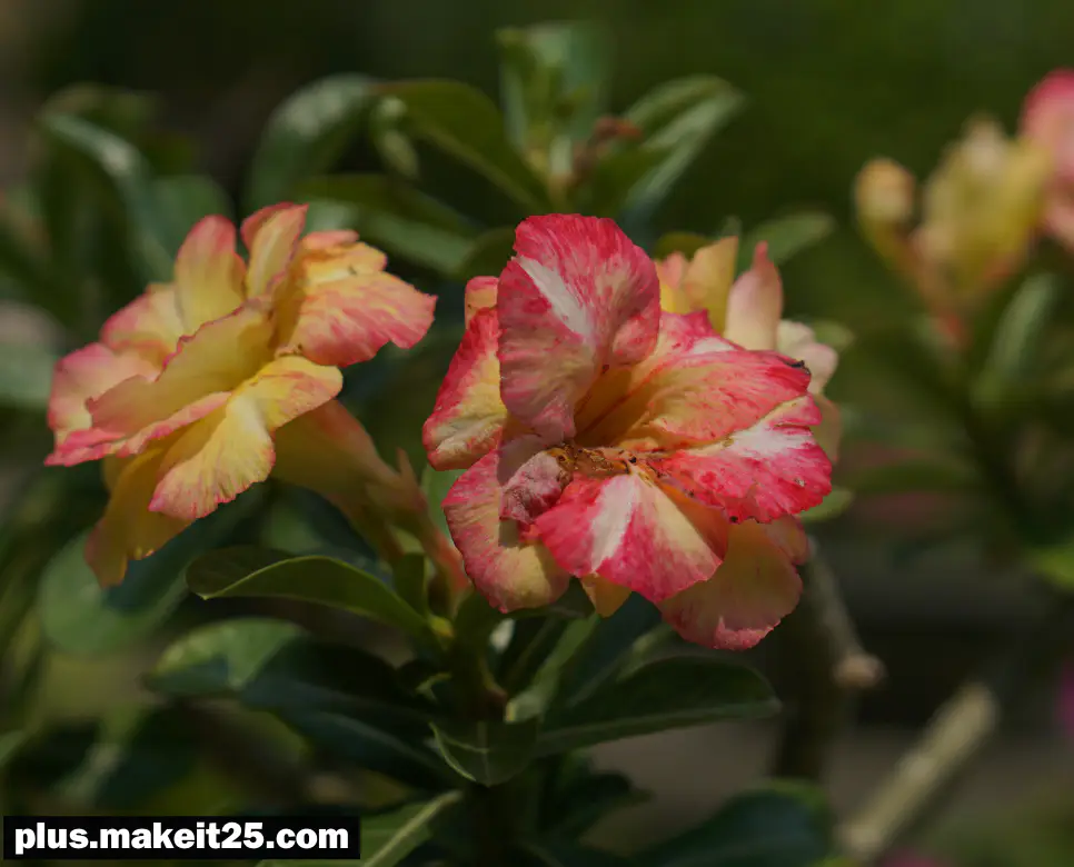 막무가내 뜻 | 무소불위 뜻 | 반면교사 뜻