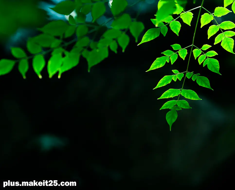 미사여구 뜻 | 전인미답 뜻 | 가담항설 뜻