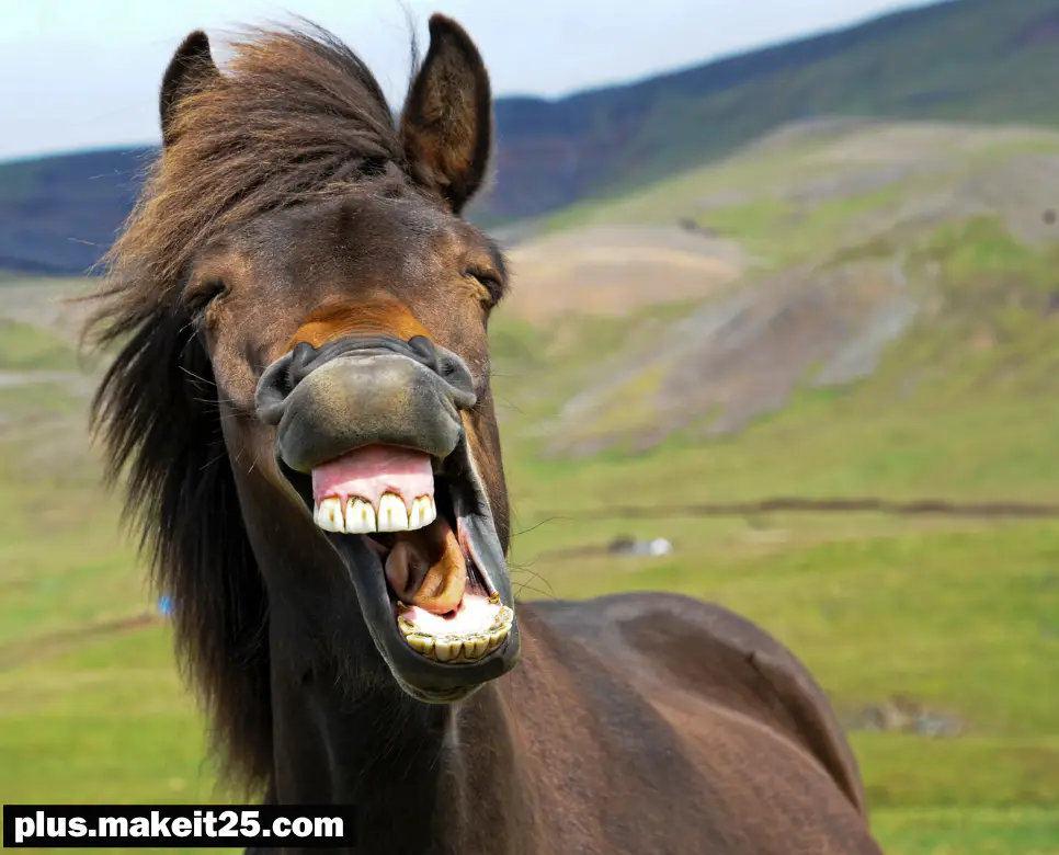 마이동풍 뜻 | 만시지탄 뜻 | 명실상부 뜻