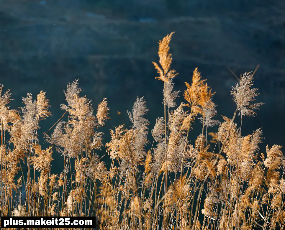 낭중지추 뜻 | 노심초사 뜻 | 다다익선 뜻
