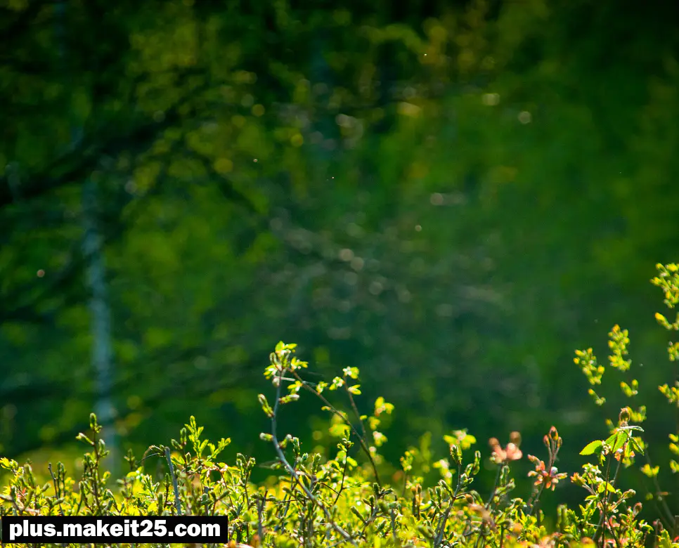 누란지위 뜻 | 독야청청 뜻 | 두각 뜻