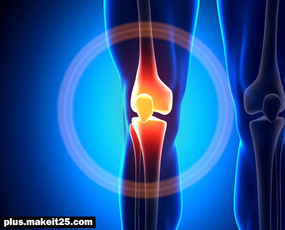 오금 뜻, 대관절 뜻, 미덥다 뜻: 알쏭 달쏭한 용어정리