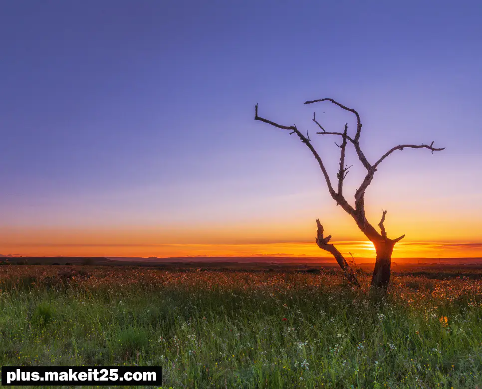 풍전등화 뜻 | 학수고대 뜻 | 함흥차사 뜻