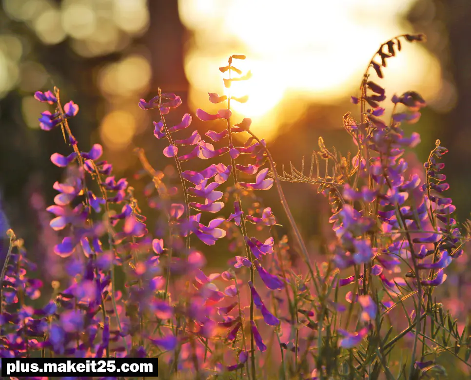사각지대 뜻 | 속전속결 뜻 | 심기일전 뜻