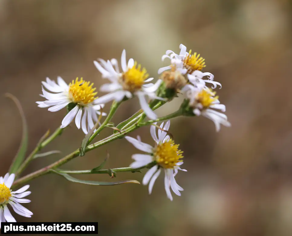 삼강오륜 뜻 | 섬섬옥수 뜻 | 유야무야 뜻