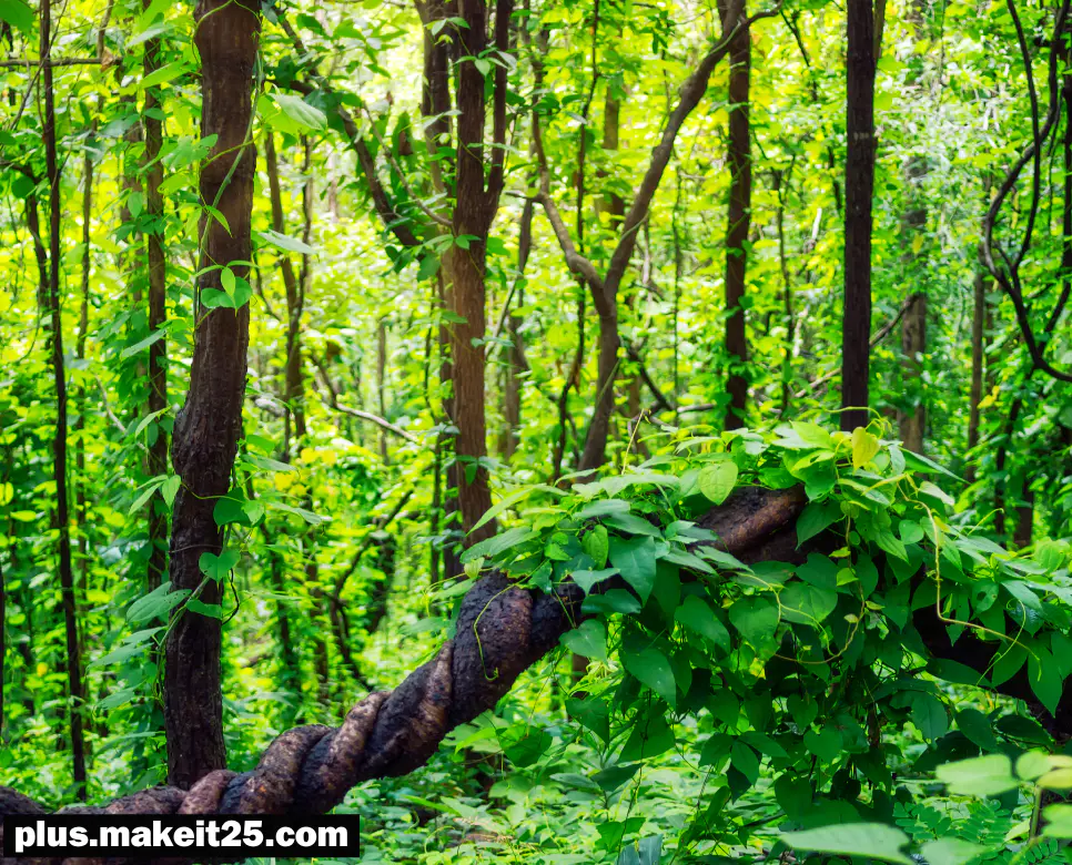 수주대토 뜻 | 분골쇄신 뜻 | 진인사대천명 뜻