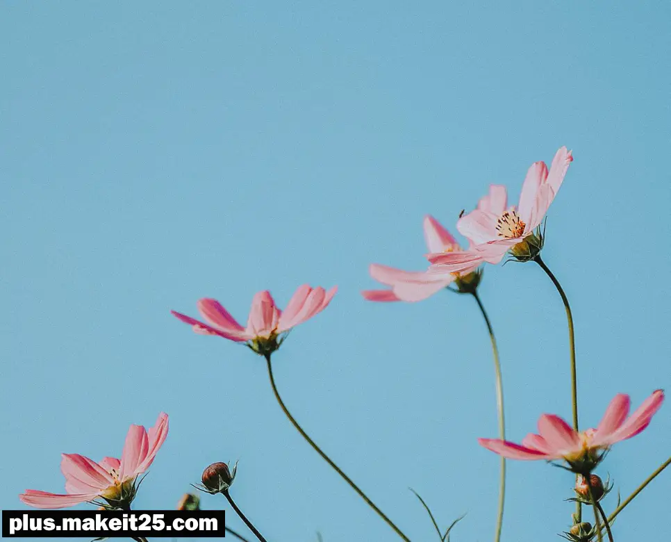 선입견 뜻 | 속수무책 뜻 | 수어지교 뜻